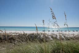 Summer Lovin’ Beachfront Condo, Pool, Tennis Courts - Image 5