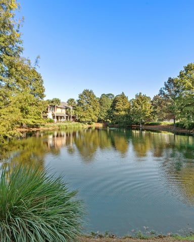 Coastal dune lake surrounded by trees