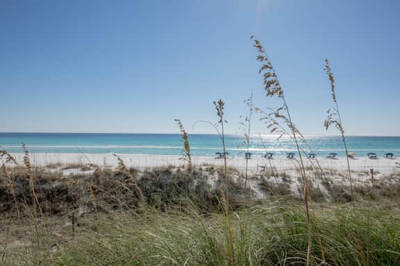 Summer Lovin’ Beachfront Condo, Pool, Tennis Courts - Image 5
