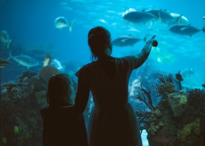 Destin Travel Guide